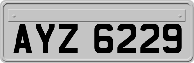 AYZ6229