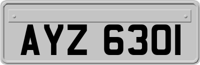 AYZ6301