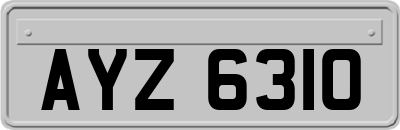 AYZ6310