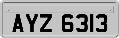 AYZ6313