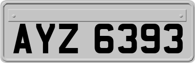 AYZ6393