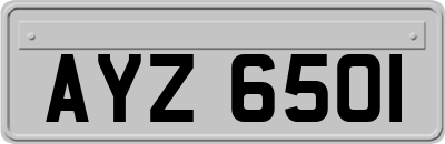 AYZ6501