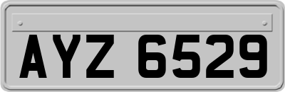 AYZ6529
