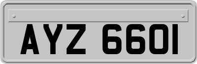 AYZ6601