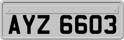 AYZ6603