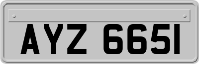 AYZ6651