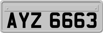 AYZ6663