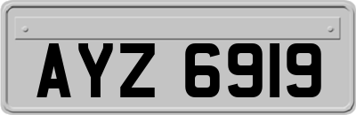 AYZ6919