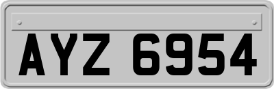 AYZ6954