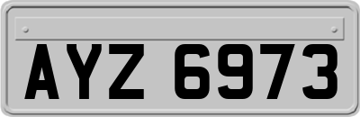 AYZ6973