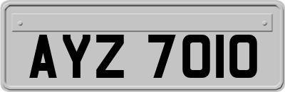 AYZ7010