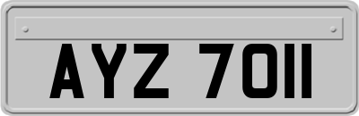 AYZ7011
