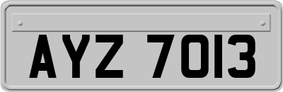 AYZ7013