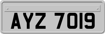 AYZ7019