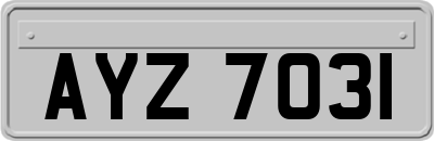 AYZ7031