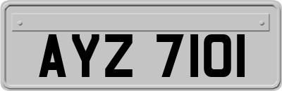 AYZ7101
