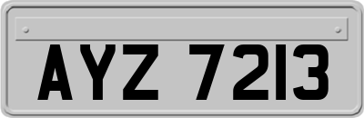 AYZ7213