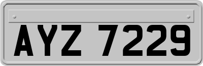 AYZ7229