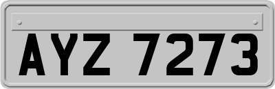 AYZ7273