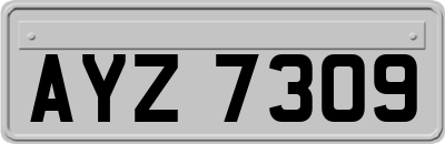 AYZ7309