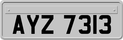 AYZ7313