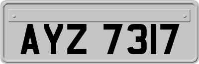 AYZ7317