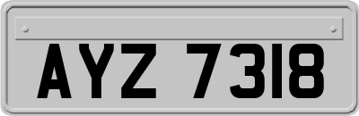 AYZ7318