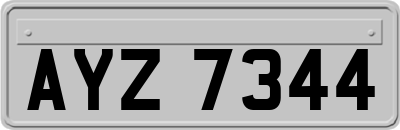 AYZ7344
