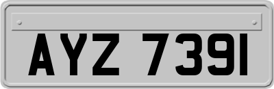 AYZ7391