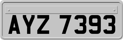 AYZ7393