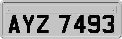 AYZ7493