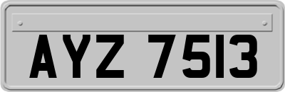 AYZ7513