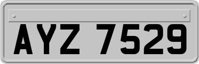 AYZ7529