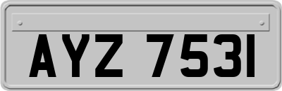 AYZ7531