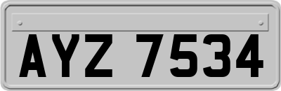 AYZ7534