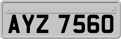 AYZ7560