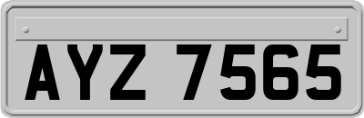 AYZ7565