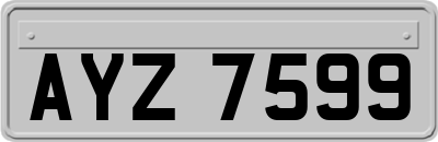 AYZ7599