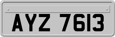 AYZ7613
