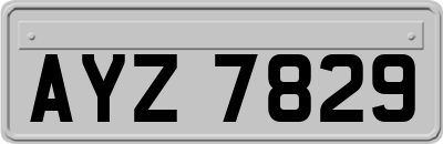 AYZ7829