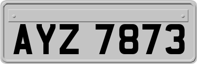 AYZ7873