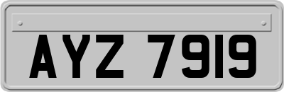 AYZ7919