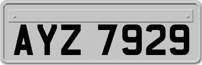 AYZ7929