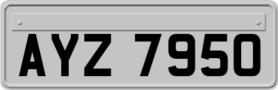 AYZ7950