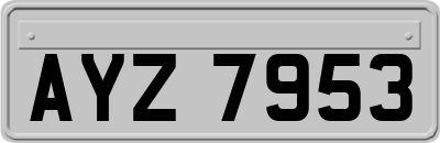 AYZ7953