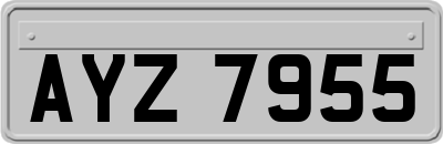 AYZ7955