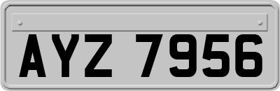 AYZ7956