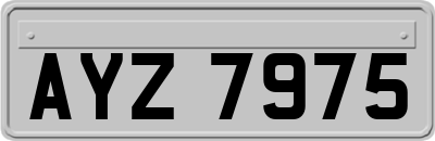 AYZ7975