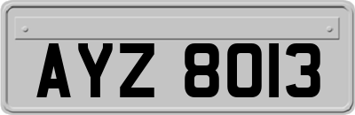 AYZ8013