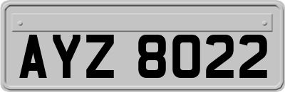AYZ8022